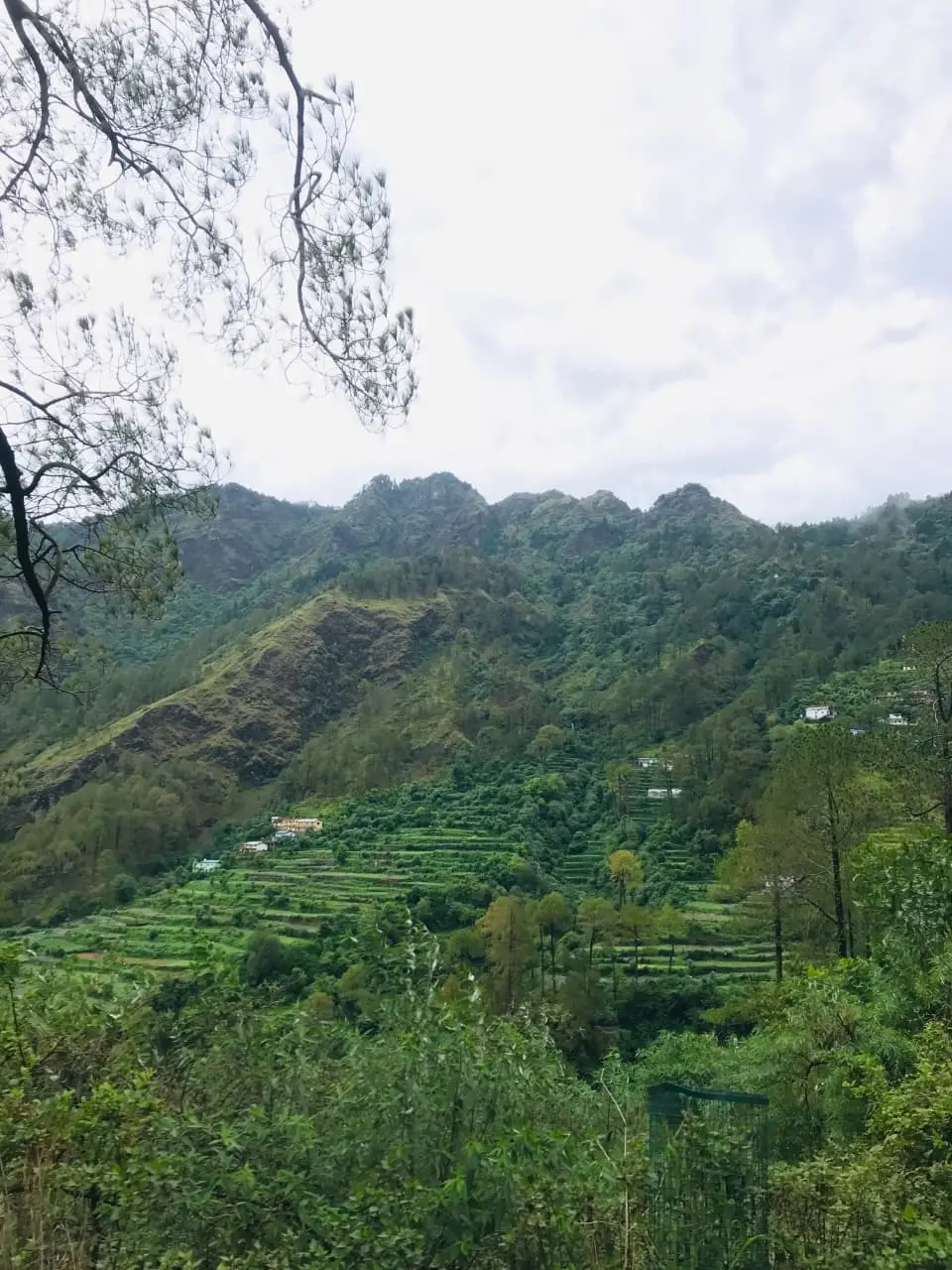  Scenic landscape view of Abbott Mount near Lohaghat Uttarakhand