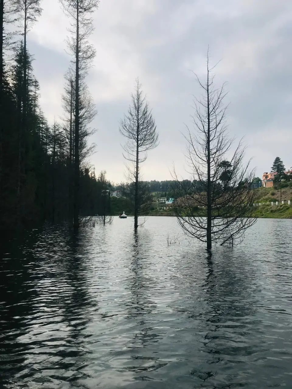  Koli Jheel lake near Lohaghat Uttarakhand surrounded by greenery