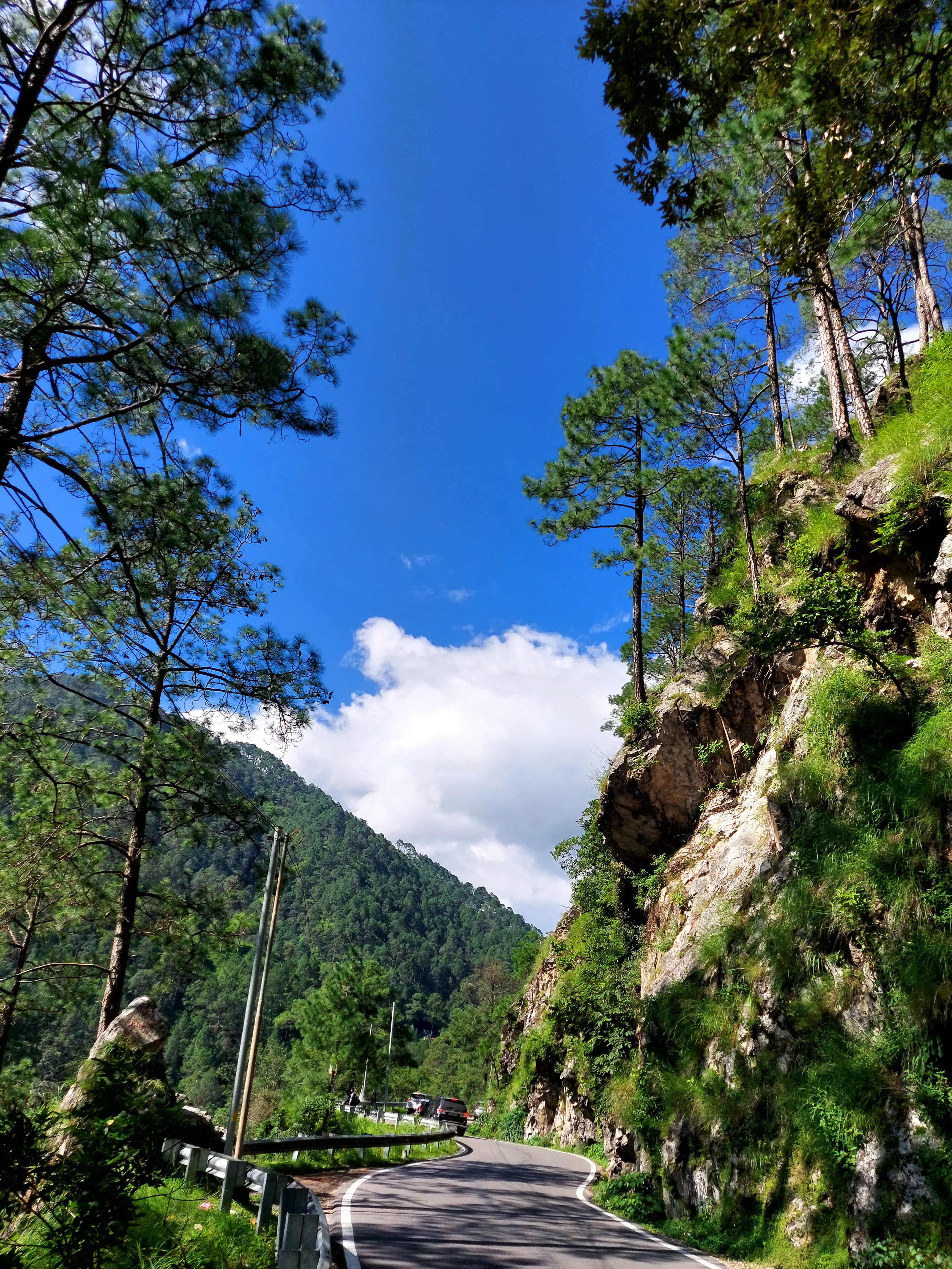 Hill road leading towards Nainital from Kathgodam